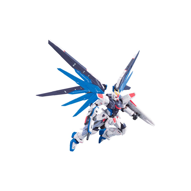 BANDAI Mobile Suit Gundam SEED - Bandai Gundam Rg ulasan dan harga